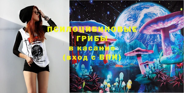 Альфа ПВП Арсеньев