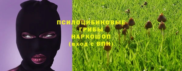 PSILOCYBIN Армянск