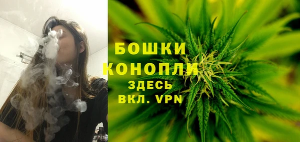 Альфа ПВП Арсеньев