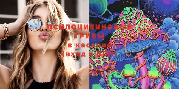 молекула духа Аркадак