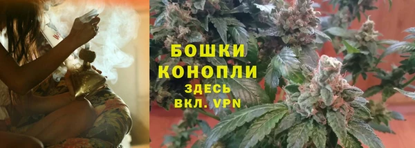PSILOCYBIN Армянск