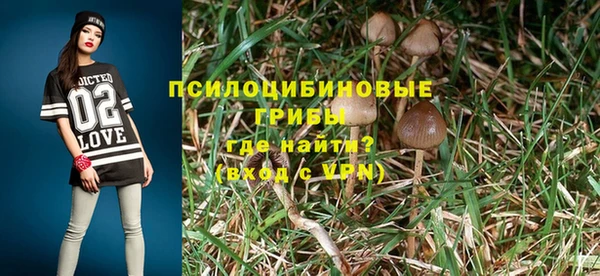 PSILOCYBIN Армянск