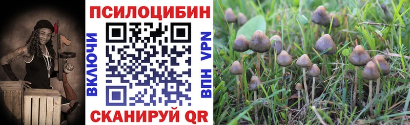 Псилоцибиновые грибы мицелий  Строитель 